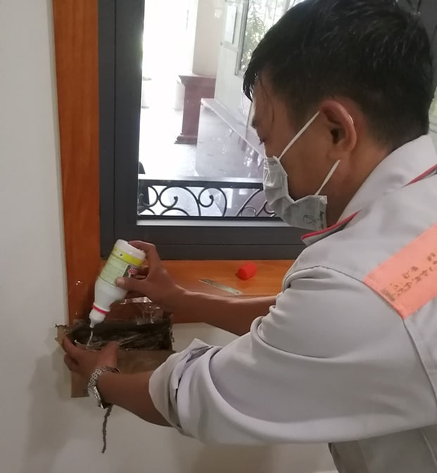Công Ty Diệt Côn Trùng Sao Nam