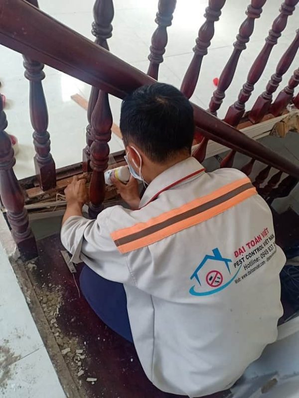 Công Ty Diệt Côn Trùng Sao Nam